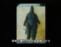 Thumbnail for version as of 13:06, 29 August 2017