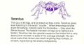 Thumbnail for version as of 20:00, 18 September 2024