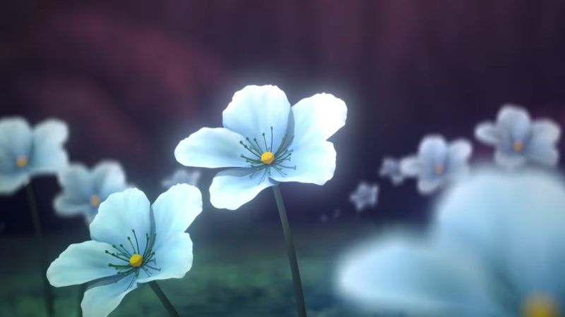 File:AG03 Flowers 01.jpg