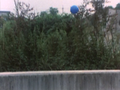 Thumbnail for version as of 23:31, 7 July 2016