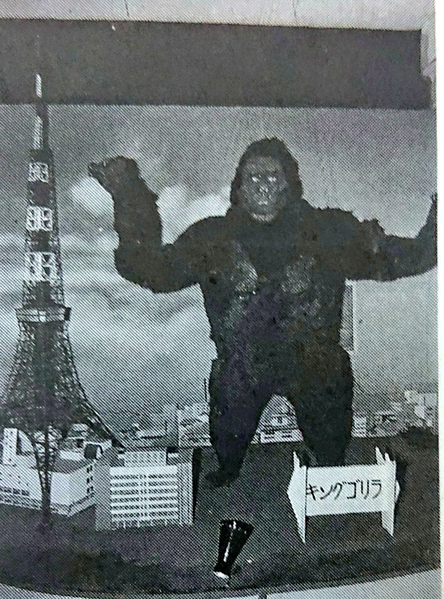 File:Kong display.png