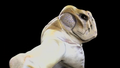 Thumbnail for version as of 23:37, 4 December 2021