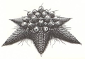 Thumbnail for version as of 23:33, 5 July 2016