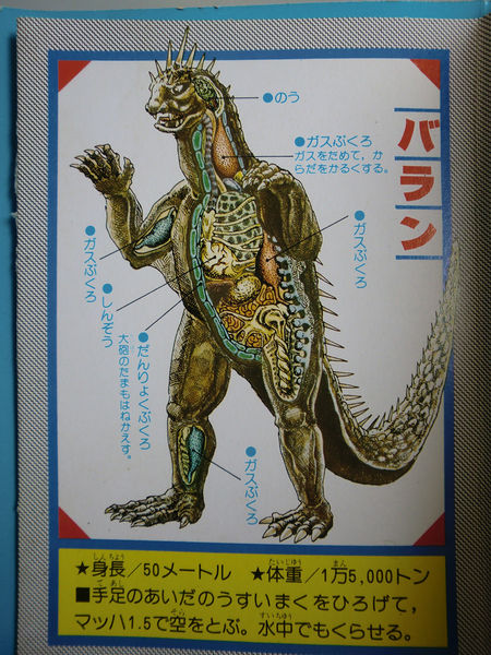 File:Varan Kabou Zukan Anatomy.jpg