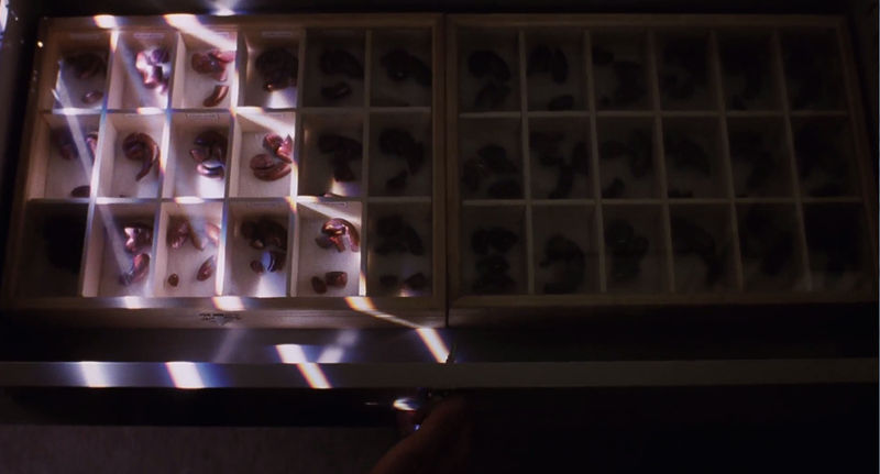 File:Fullscreen capture 3112018 85726 PM.bmp.jpg