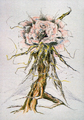 Thumbnail for version as of 00:15, 6 July 2016
