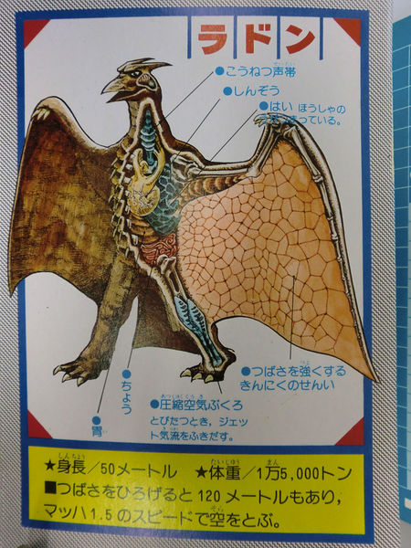 File:Rodan Kabou Zukan Anatomy.jpg