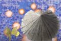 Thumbnail for version as of 03:39, 30 March 2024