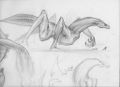 Thumbnail for version as of 12:27, 2 August 2017