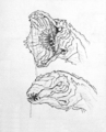 Thumbnail for version as of 23:19, 5 July 2016