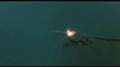 Thumbnail for version as of 02:11, 26 February 2019
