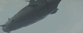 Thumbnail for version as of 08:23, 8 September 2021