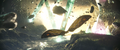 Thumbnail for version as of 01:03, 5 June 2024