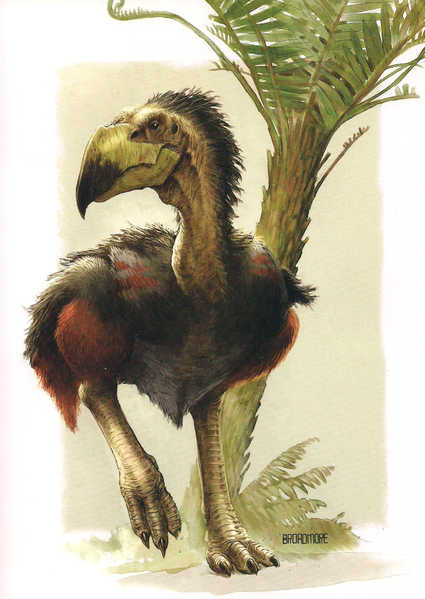 File:Zeropteryx.png