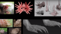 Thumbnail for version as of 17:40, 21 February 2024