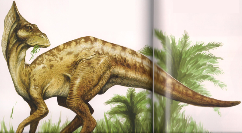 File:Ligocristus.png