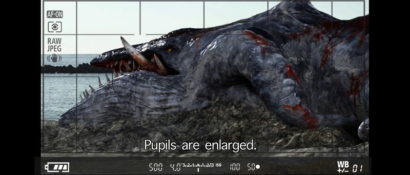 File:Vlcsnap-2021-01-02-09h42m10s046.png.jpg