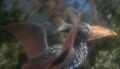 Thumbnail for version as of 21:55, 10 September 2021