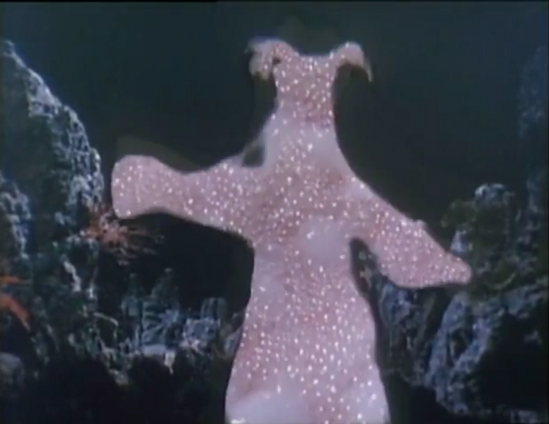 File:Transformation almost complete.png