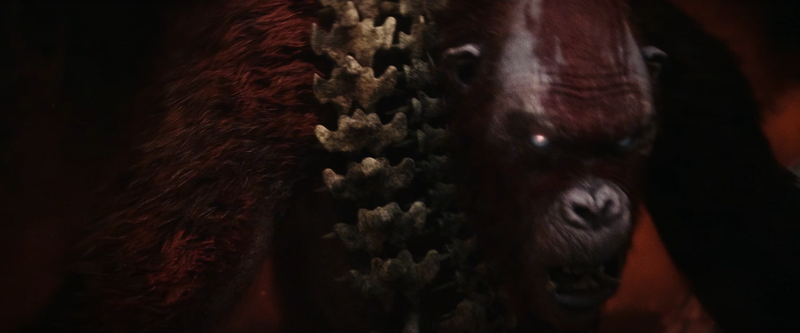 File:GxK - Skar King.png