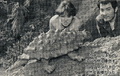 Thumbnail for version as of 03:57, 7 January 2019