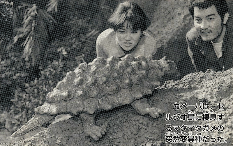 File:Space Amoeba - Mata mata turtle, GMMGSCW p36.png