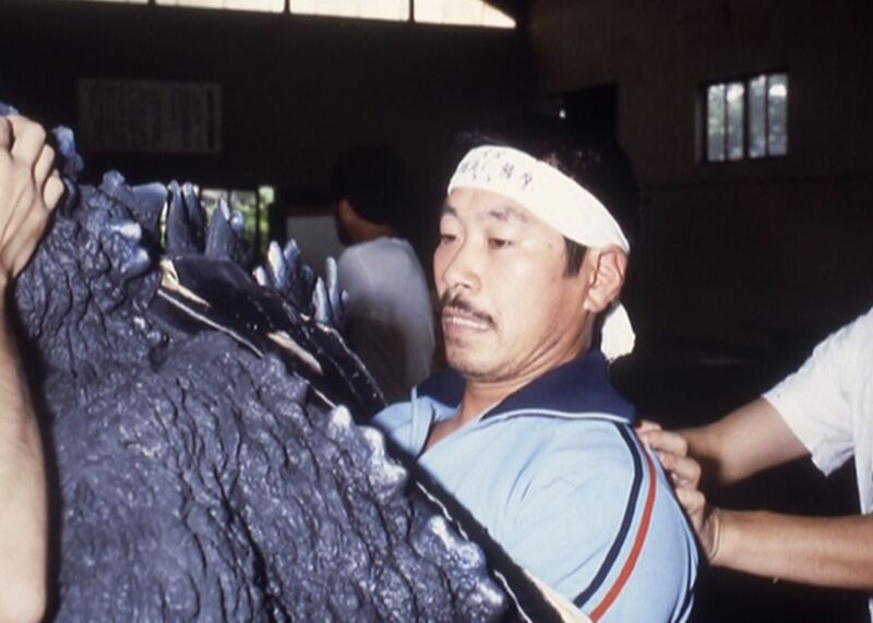 File:TROG1984BTSGodzilla9.jpeg