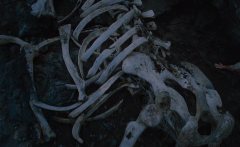 File:Dead Dad Bod 2.png