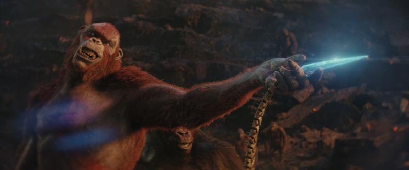 File:GxK - He did the orangutan meme.png