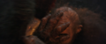 Thumbnail for version as of 23:37, 18 May 2024