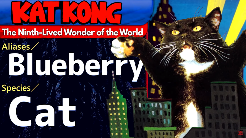 File:KP Stats Kat Kong.png