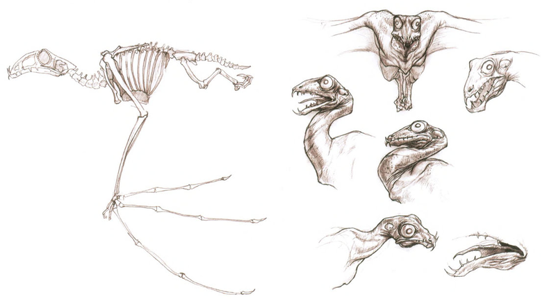 File:Vultursaur bod.png
