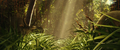 Thumbnail for version as of 00:31, 16 April 2024