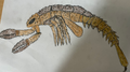 Thumbnail for version as of 20:04, 25 April 2025