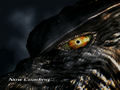 Thumbnail for version as of 05:08, 21 May 2024