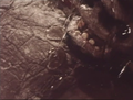 Thumbnail for version as of 18:51, 23 July 2016