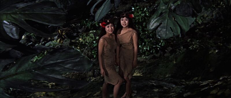 File:PDVD 007.jpg