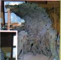 Thumbnail for version as of 01:46, 30 July 2016