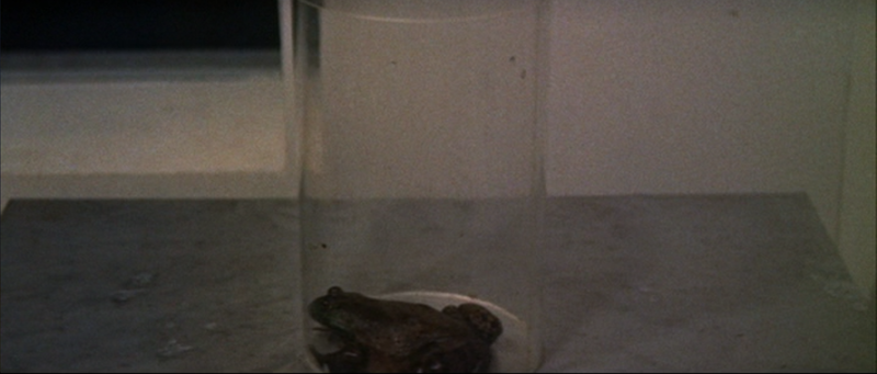 File:Liquid Toad - 5.png