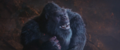 Thumbnail for version as of 21:35, 21 May 2024