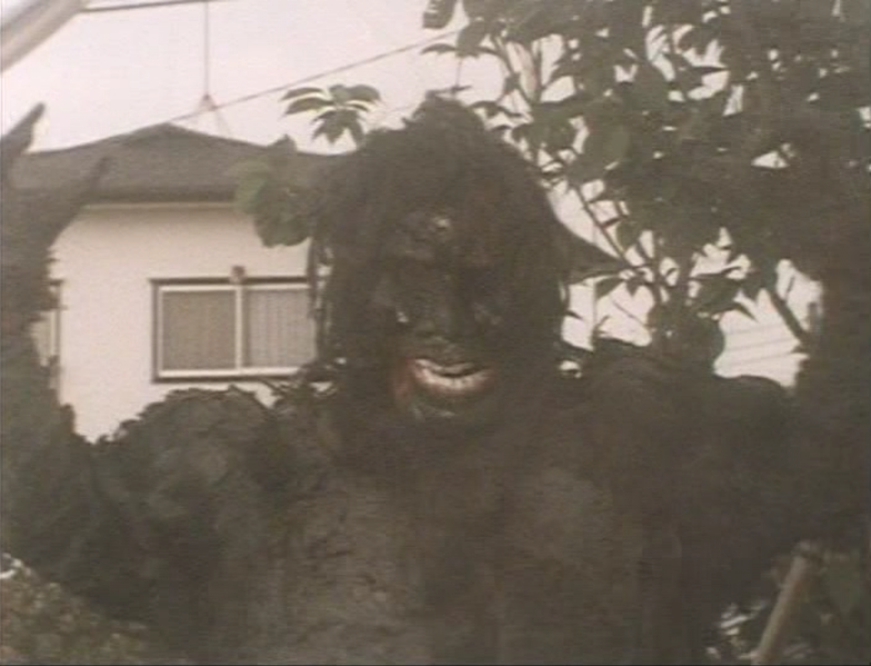 File:Go! Greenman - Greenman vs. Gaira - 10.png