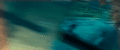 Thumbnail for version as of 15:40, 6 October 2023