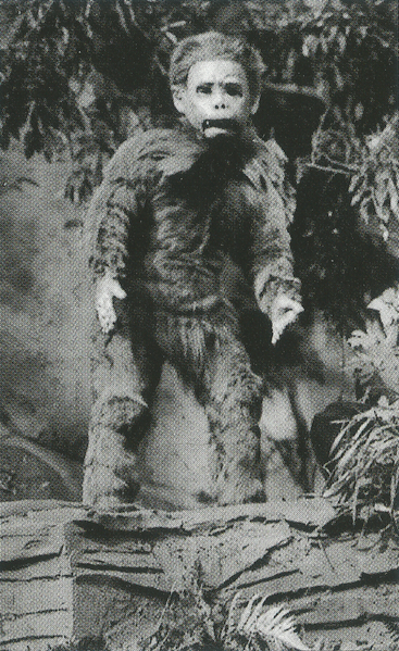 File:Child of Snowman.png