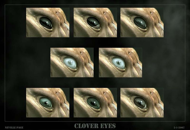 File:Clover21.jpg