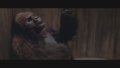 Thumbnail for version as of 01:49, 28 December 2019