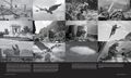 Thumbnail for version as of 05:19, 23 September 2024