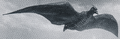 Thumbnail for version as of 06:49, 24 June 2018