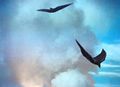 Thumbnail for version as of 23:13, 8 June 2017