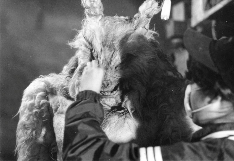 File:Something on Wolfman's Face.png