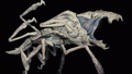 Thumbnail for version as of 23:59, 4 December 2021